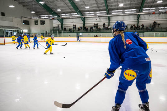 Players of Sweden at a practice session