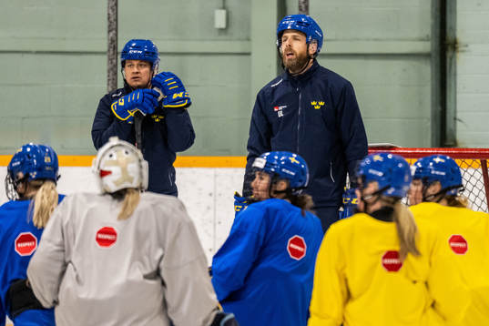 Head coach Ulf Lundberg of Sweden at a practice session