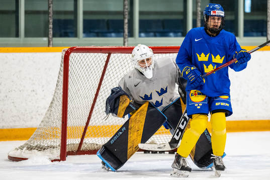 Goaltender Tindra Holm and Sofie Lundin of Sweden at a