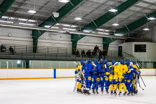 Players of Sweden at a practice session