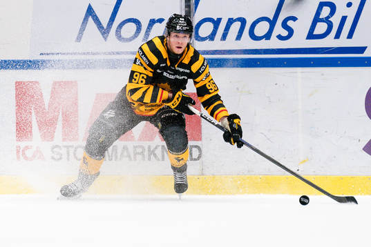 Skellefteås Rickard Hugg