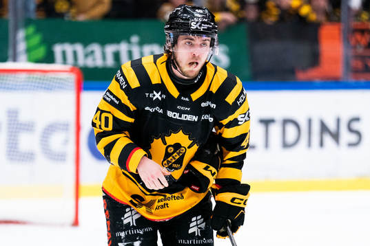 Skellefteås Andreas Wingerli deppar