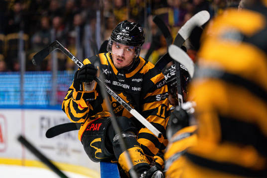 Skellefteås Max Lindholm deppar