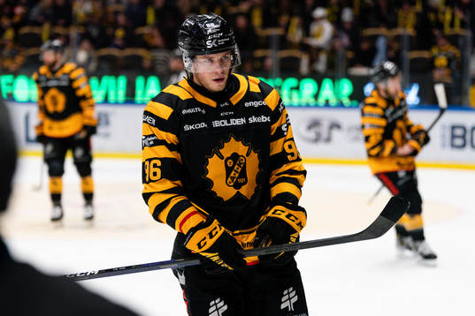 Skellefteås Rickard Hugg deppar