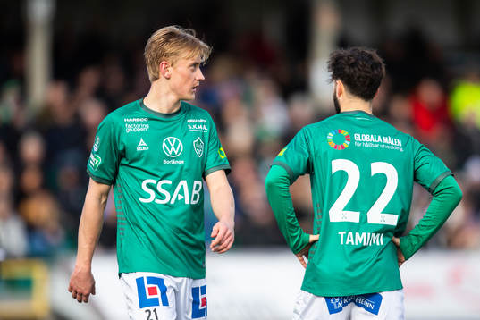Brages Henry Sletsjøe