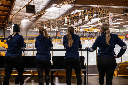 Players of Sweden