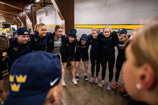 Players of Sweden