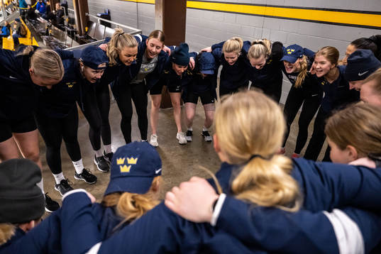 Players of Sweden