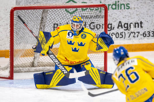 Goalkeeper Sara Grahn  of Sweden