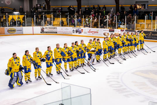 Players of Sweden