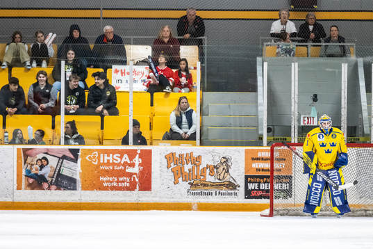 Goaltender Sara Grahn of Sweden