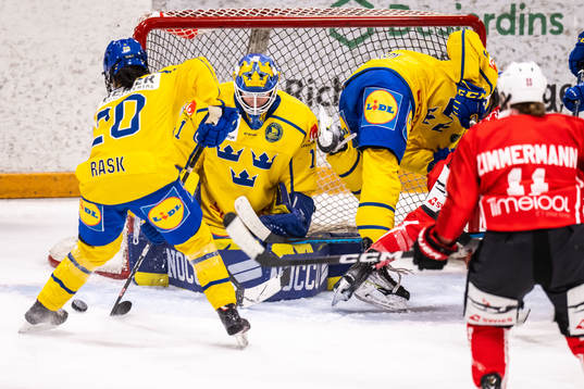 Goaltender Sara Grahn of Sweden