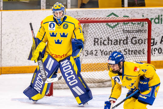 Goaltender Sara Grahn of Sweden
