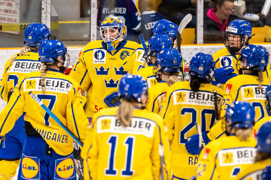 Goaltender Sara Grahn