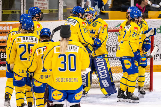 Players of Sweden
