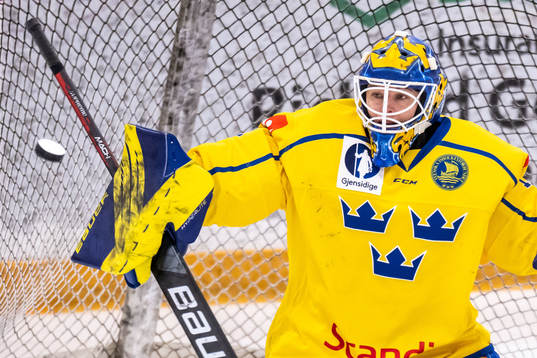 Goaltender Sara Grahn  of Sweden