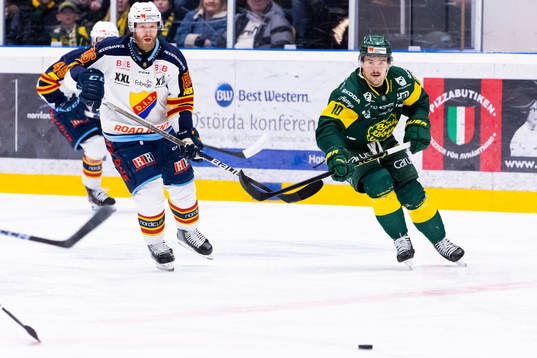 Djurgårdens Linus Klasen och Björklövens Gerry Fitzgerald