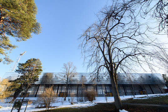Stadsparksvallen