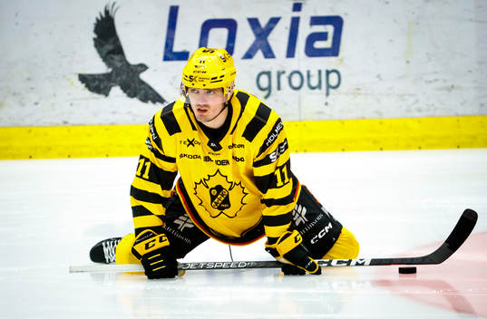 Skellefteås Max Lindholm