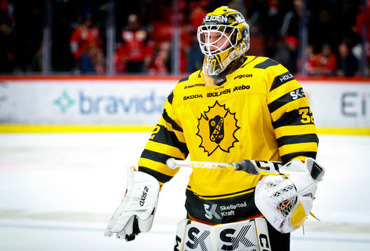 Skellefteås målvakt Linus Söderström deppar