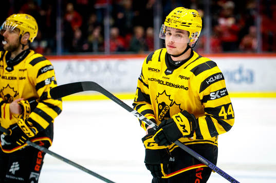Skellefteås Elias Salomonsson deppar