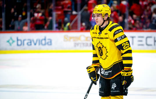 Skellefteås Albin Sundsvik deppar