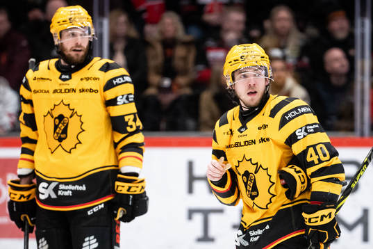 Skellefteås Tom Kühnhackl och Andreas Wingerli deppar