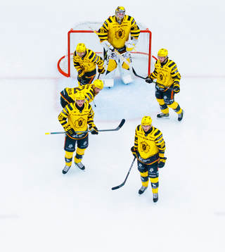 Skellefteås målvakt Linus Söderström, Oscar Möller,