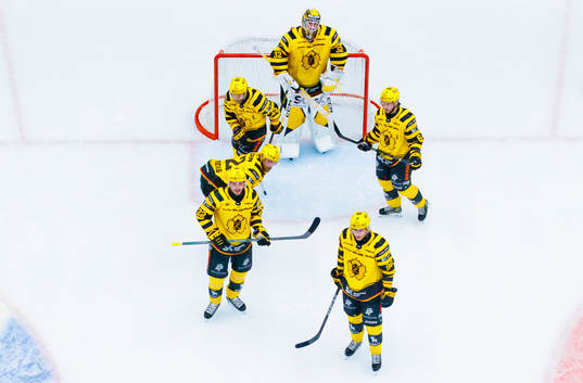 Skellefteås målvakt Linus Söderström, Oscar Möller,