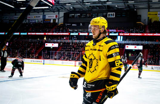 Skellefteås Jonathan Pudas deppar