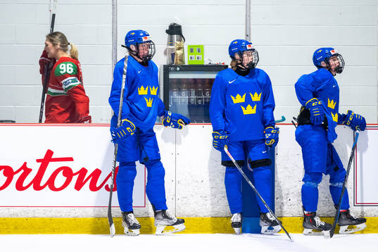 Sara Hjalmarsson,Felizia Wikner-Zienkiewicz and Mira
