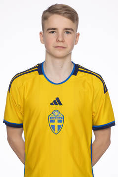 Wilmer Henriksson