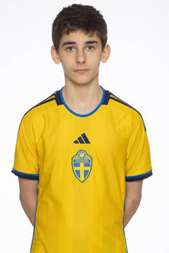 Alexander Nordlund