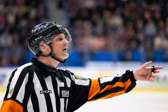 Domare Mikael Nord
