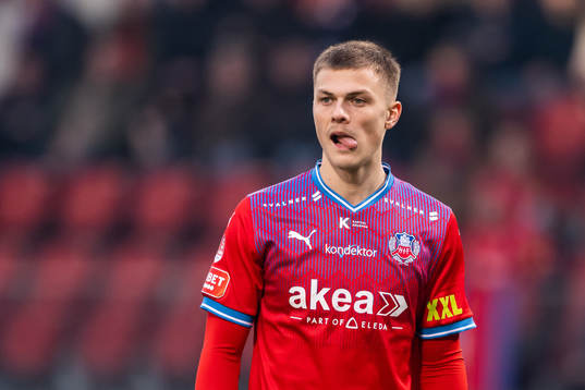 Helsingborgs Erik Ring