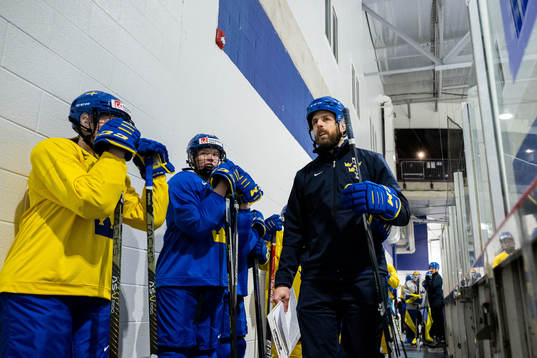 Head coach Ulf Lundberg of Sweden