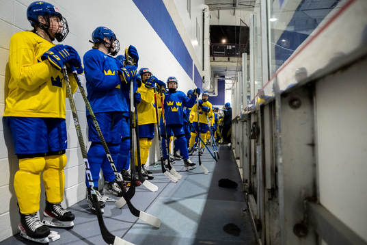 Players of Sweden