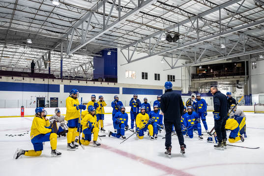 Players of Sweden at a practice session