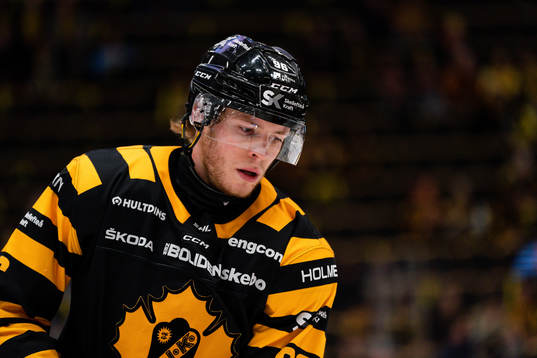Skellefteås Rickard Hugg