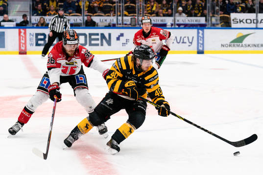 Örebros Emil Larsson och Skellefteås Andreas Wingerli