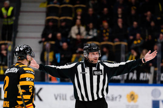 Linjedomare Emil Yletyinen