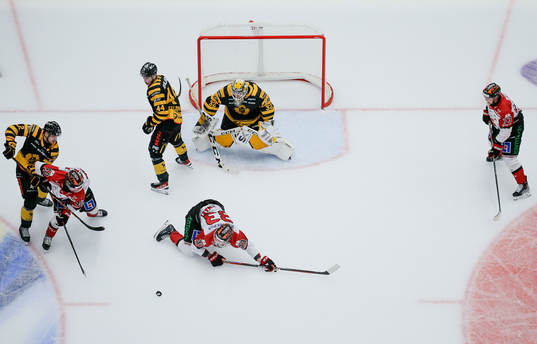 Skellefteås målvakt Linus Söderström, Elias Salomonsson