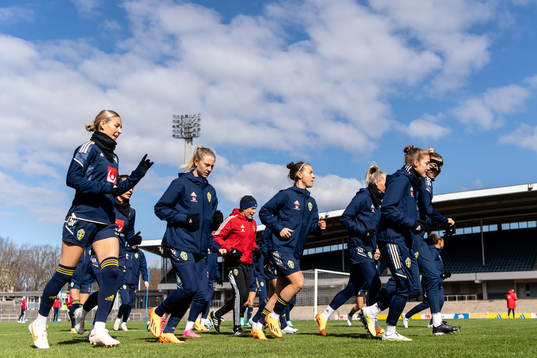 Players of Sweden