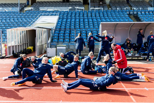 Players of Sweden
