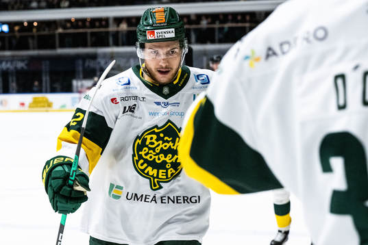 Björklövens Scott Pooley jublar
