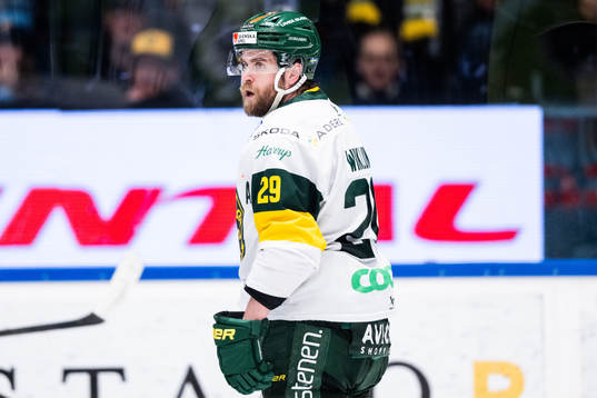Björklövens Alexander Wiklund deppar
