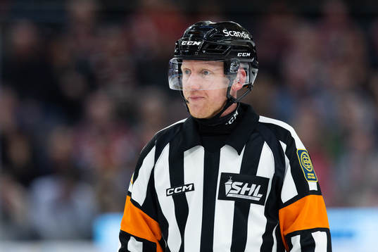 Domare Mikael Holm