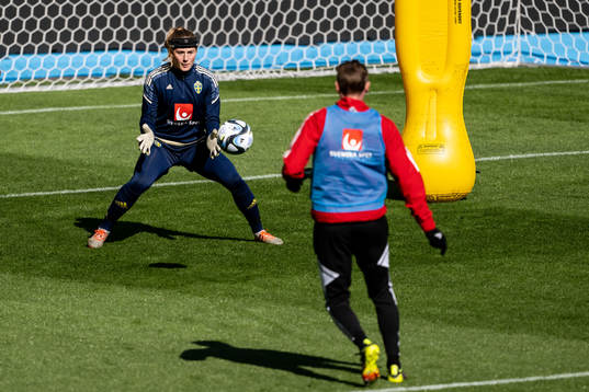 Goalkeeper Tove Enblom