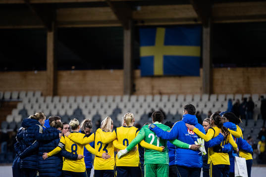 Players of Sweden