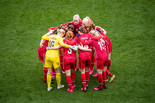Players of Denmark are gathered